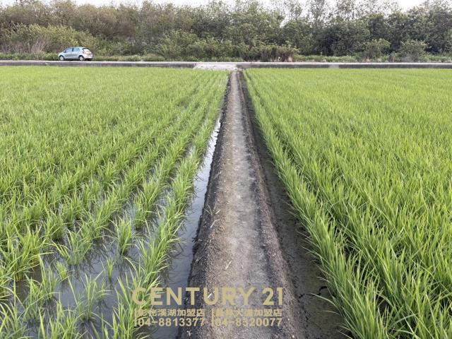 彰化竹塘農地-3