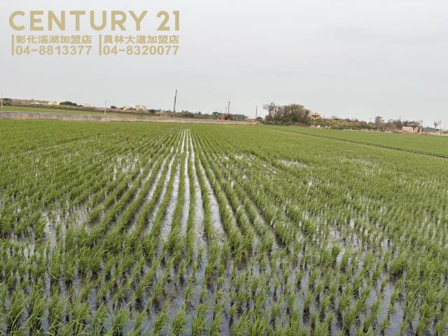 彰化二林農地-0