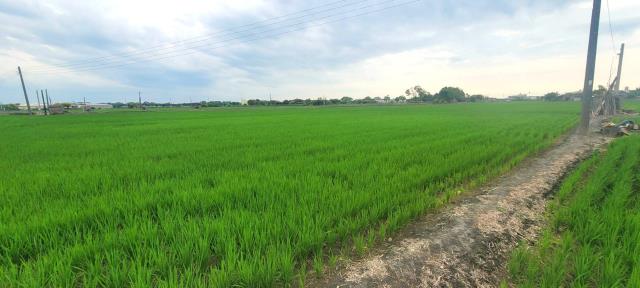 彰化埤頭農地-2