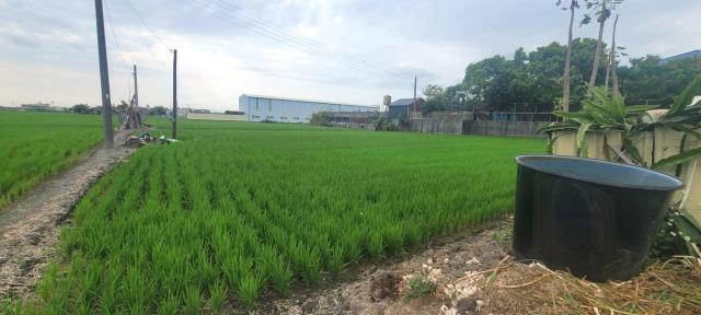 彰化埤頭農地-3