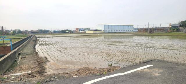 彰化埤頭農地-5