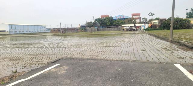 彰化埤頭農地-6