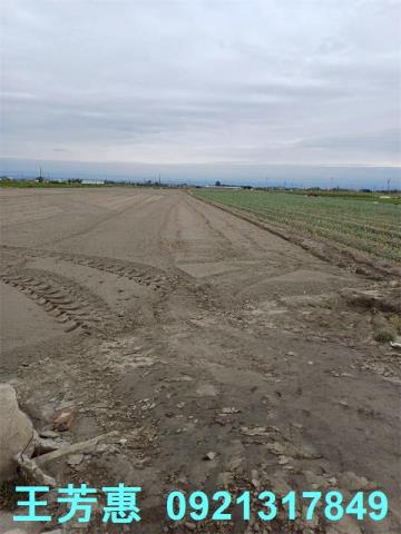 彰化二林農地-9