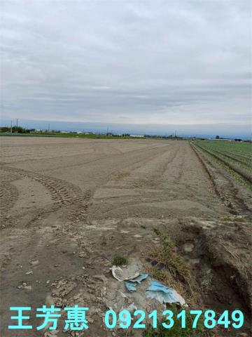 彰化二林農地-10
