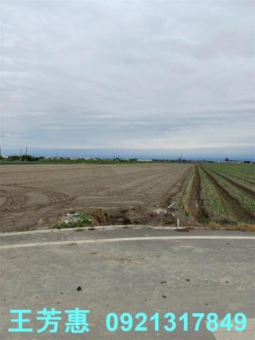 彰化二林農地-7