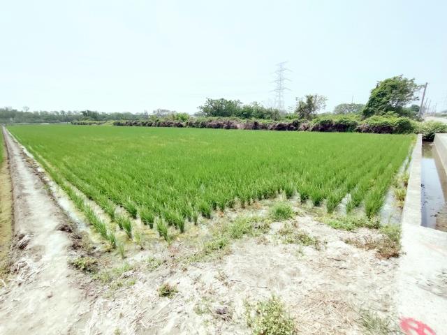 竹塘農地-10