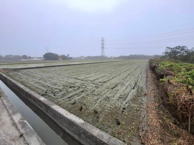 竹塘農地-13
