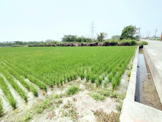 竹塘農地-0