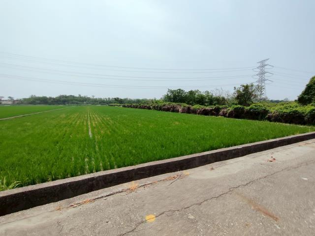 竹塘農地-4