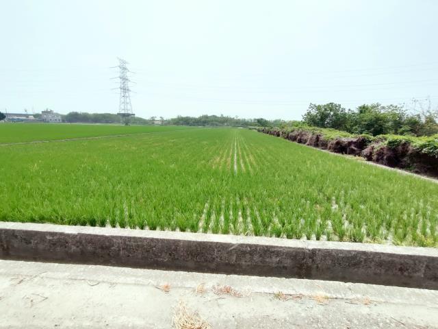 竹塘農地-5