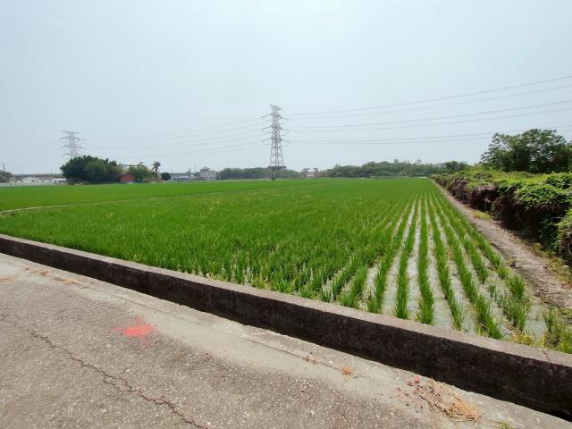竹塘農地-6