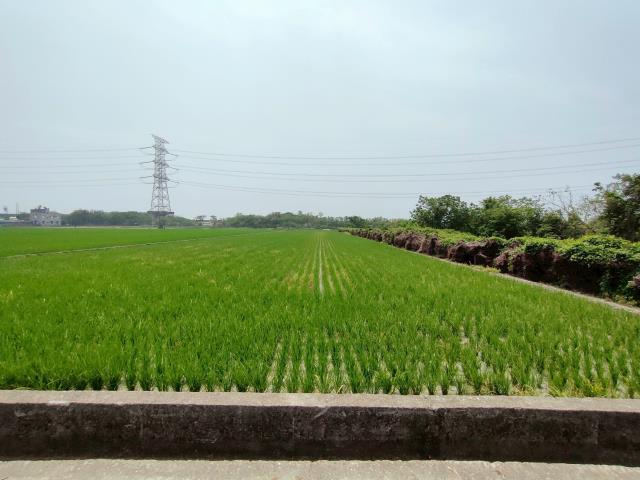 竹塘農地-7