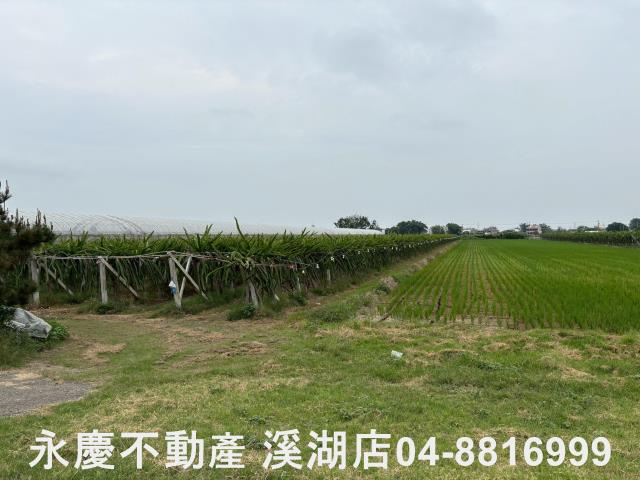 二林農地-0
