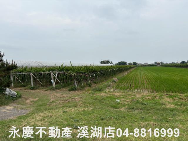 二林農地-4