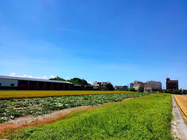 彰化溪湖農地-9