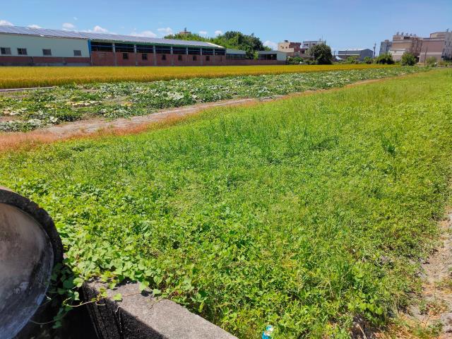 彰化溪湖農地-11