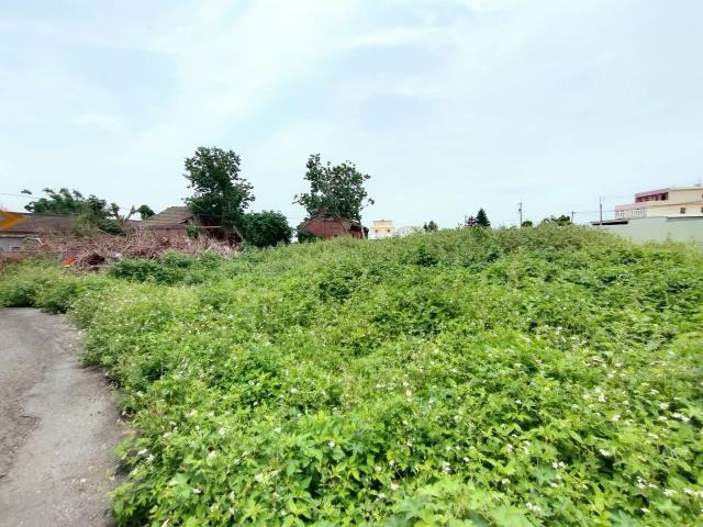 彰化埔鹽建地-9