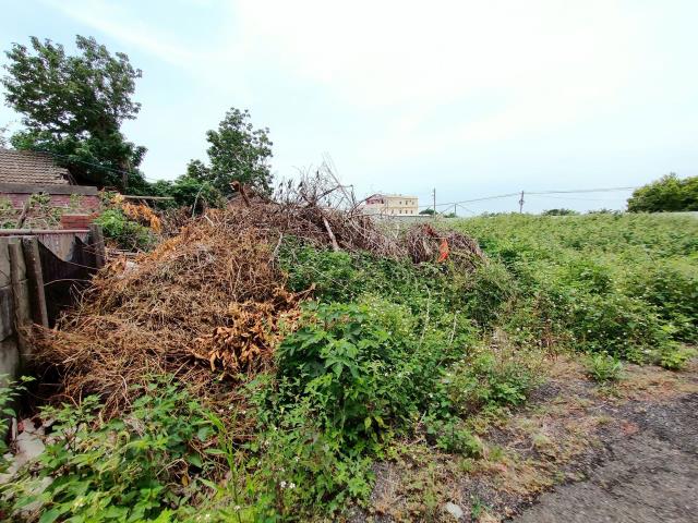 彰化埔鹽建地-12