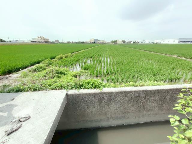 彰化埔鹽農地-9