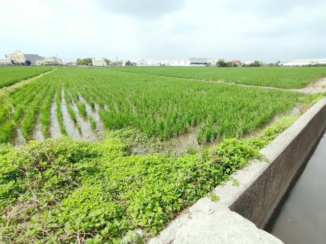 彰化埔鹽農地-10