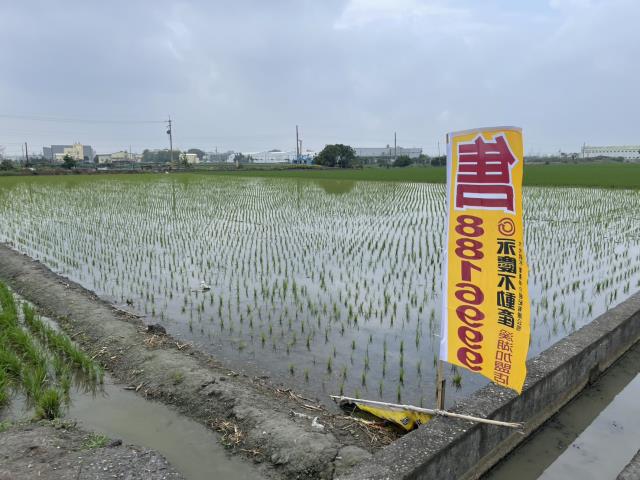 彰化埔鹽農地-2