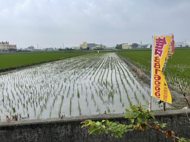 彰化埔鹽農地-3