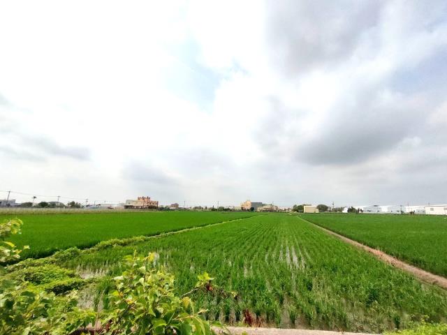 彰化埔鹽農地-4