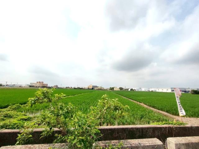 彰化埔鹽農地-5