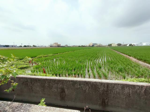 彰化埔鹽農地-7