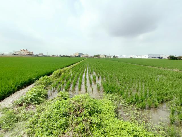 彰化埔鹽農地-8