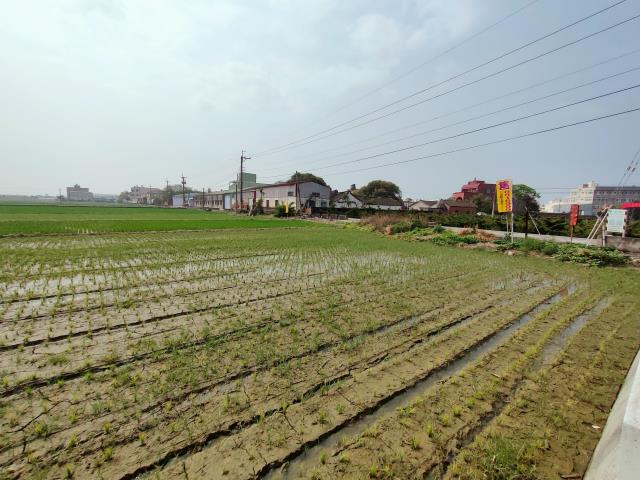 埔鹽農地-9