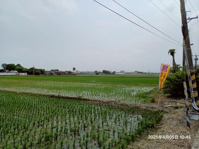埔鹽農地-6