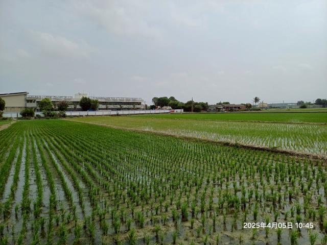埔鹽農地-7