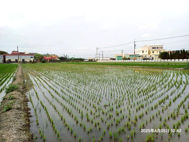 埔鹽農地-8