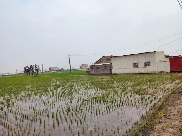 福興農地-9
