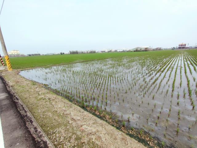 福興農地-2