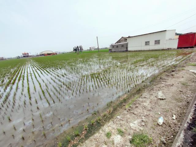 福興農地-3