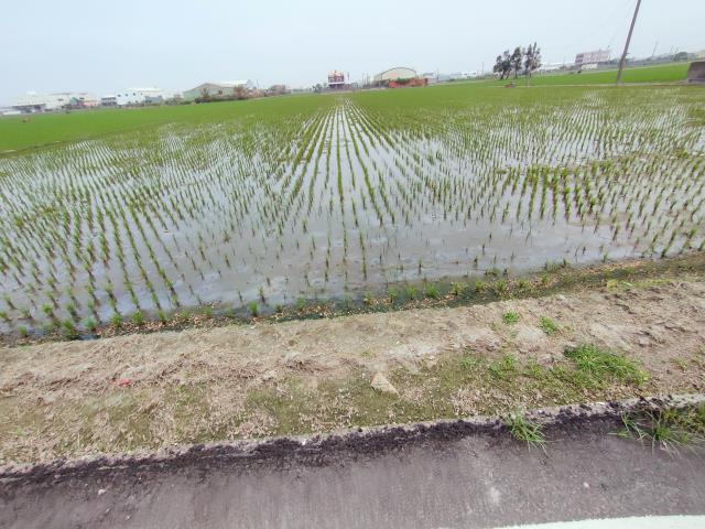 福興農地-4