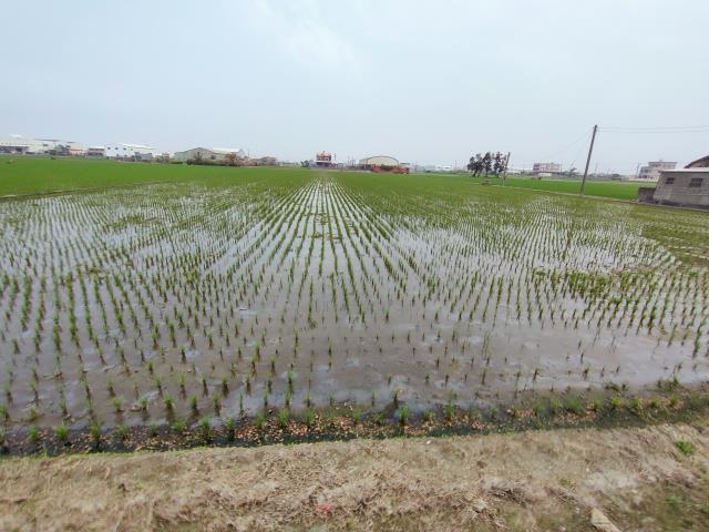 福興農地-6