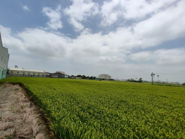 彰化溪湖農地-9