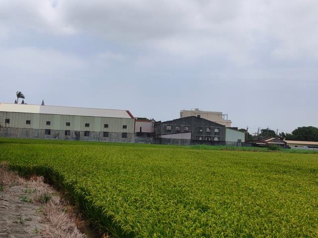 彰化溪湖農地-10
