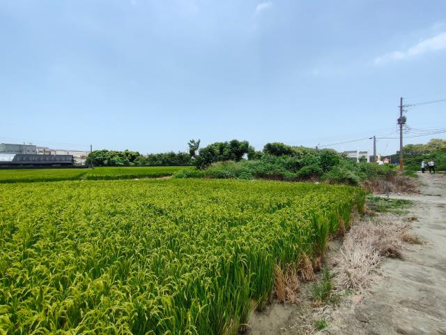 彰化溪湖農地-12