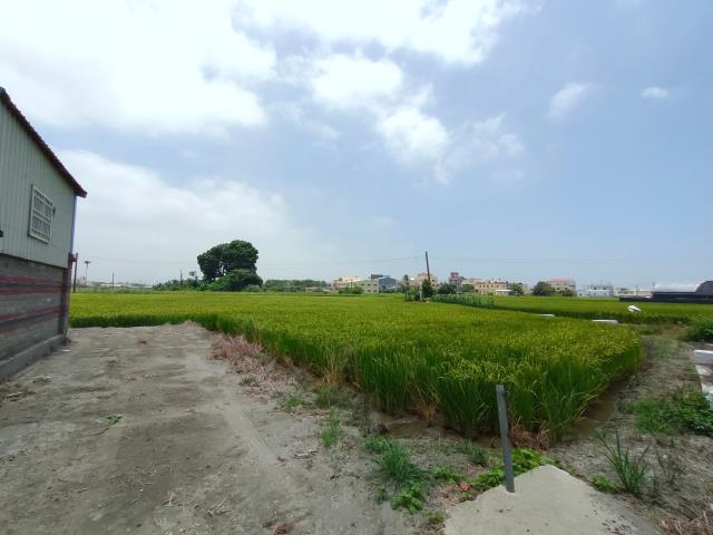 彰化溪湖農地-1