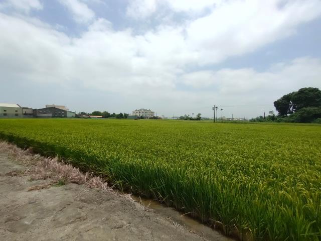 彰化溪湖農地-4