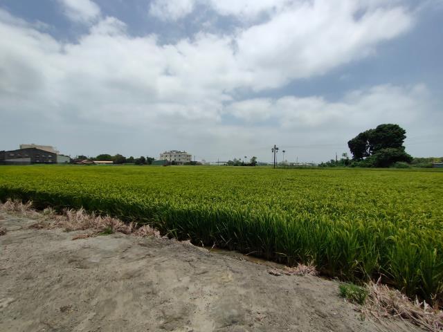彰化溪湖農地-5