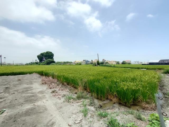 彰化溪湖農地-6