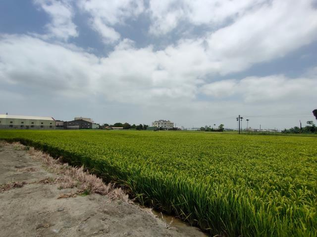 彰化溪湖農地-7