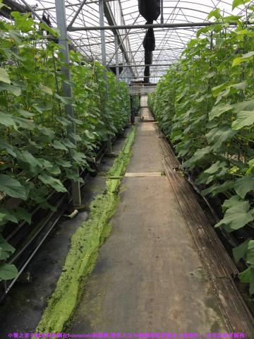 彰化花壇農地-8