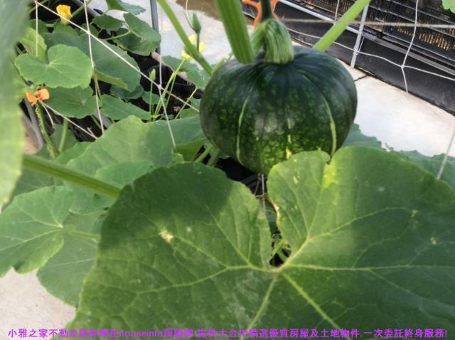 彰化花壇農地-12