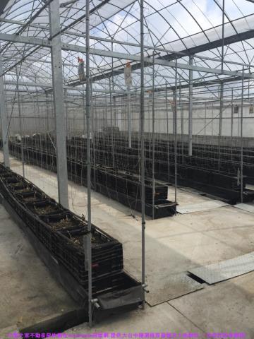 彰化花壇農地-1